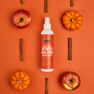 The Only Between Bath Spray Dogs Need - Spiced Apple & Pumpkin