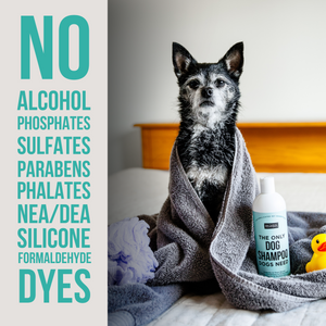 The Only Dog Shampoo Dogs Need - Gallon