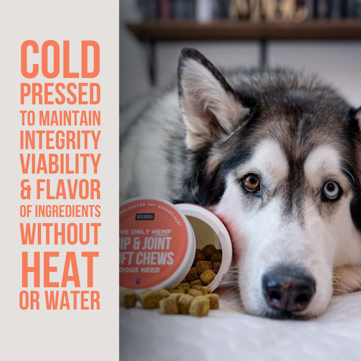 The Only Hip Joint Soft Chews Dogs Need Natural Rapport