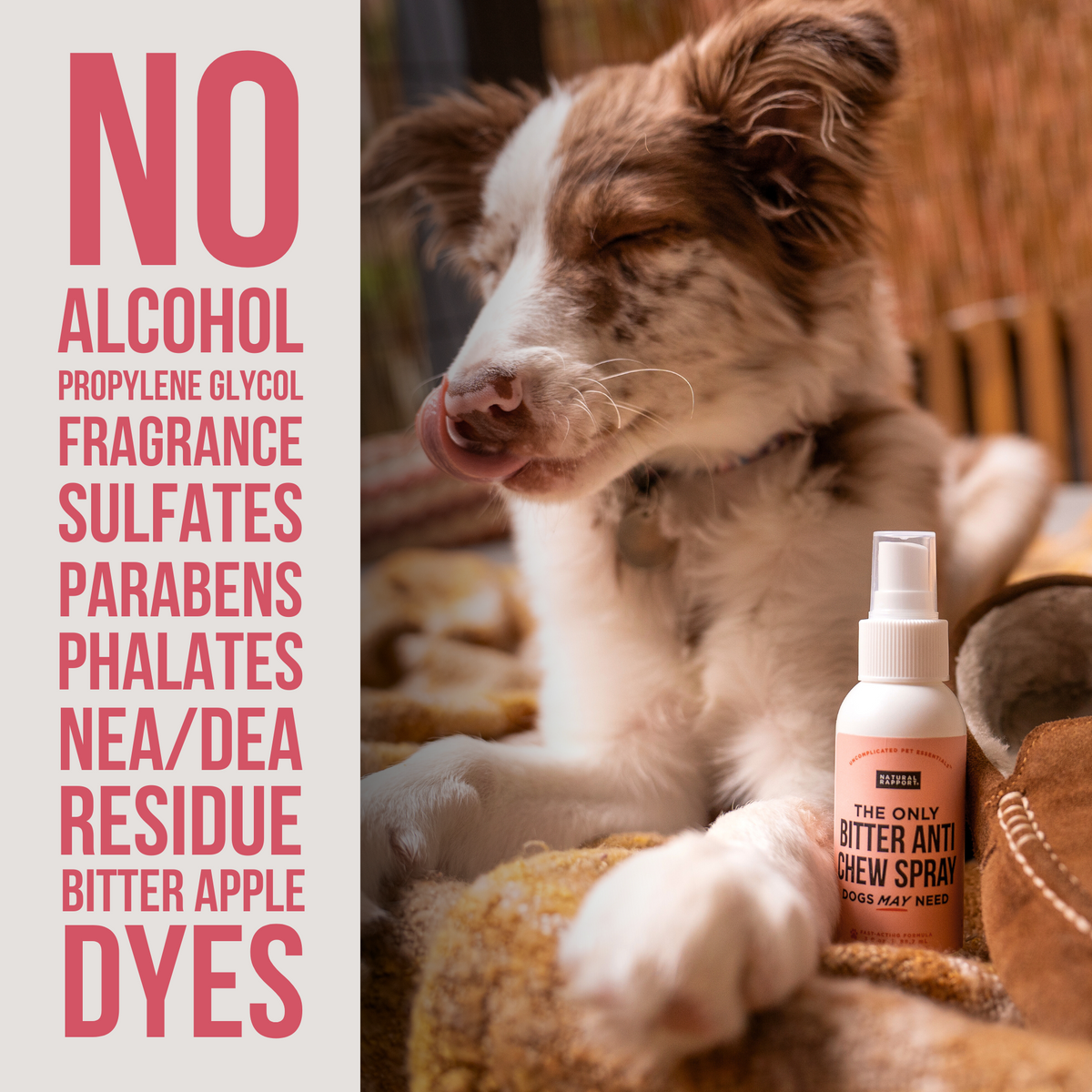 Apple Cider Vinegar Homemade Bitter Spray For Dogs Apple Cider Vinegar Dog Chewing Deterrent Diy The Only Bitter Anti