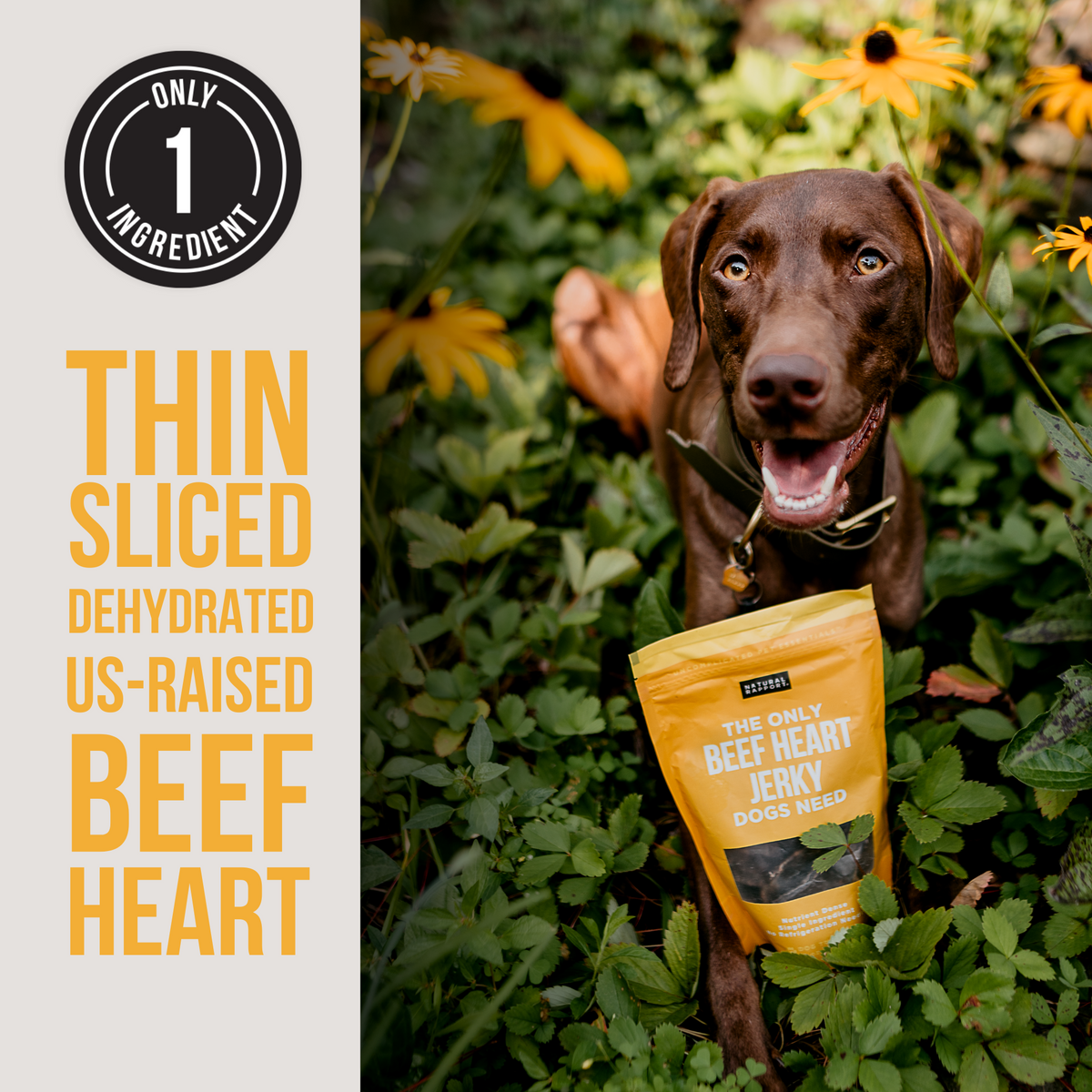 Where to buy beef heart for dogs discount