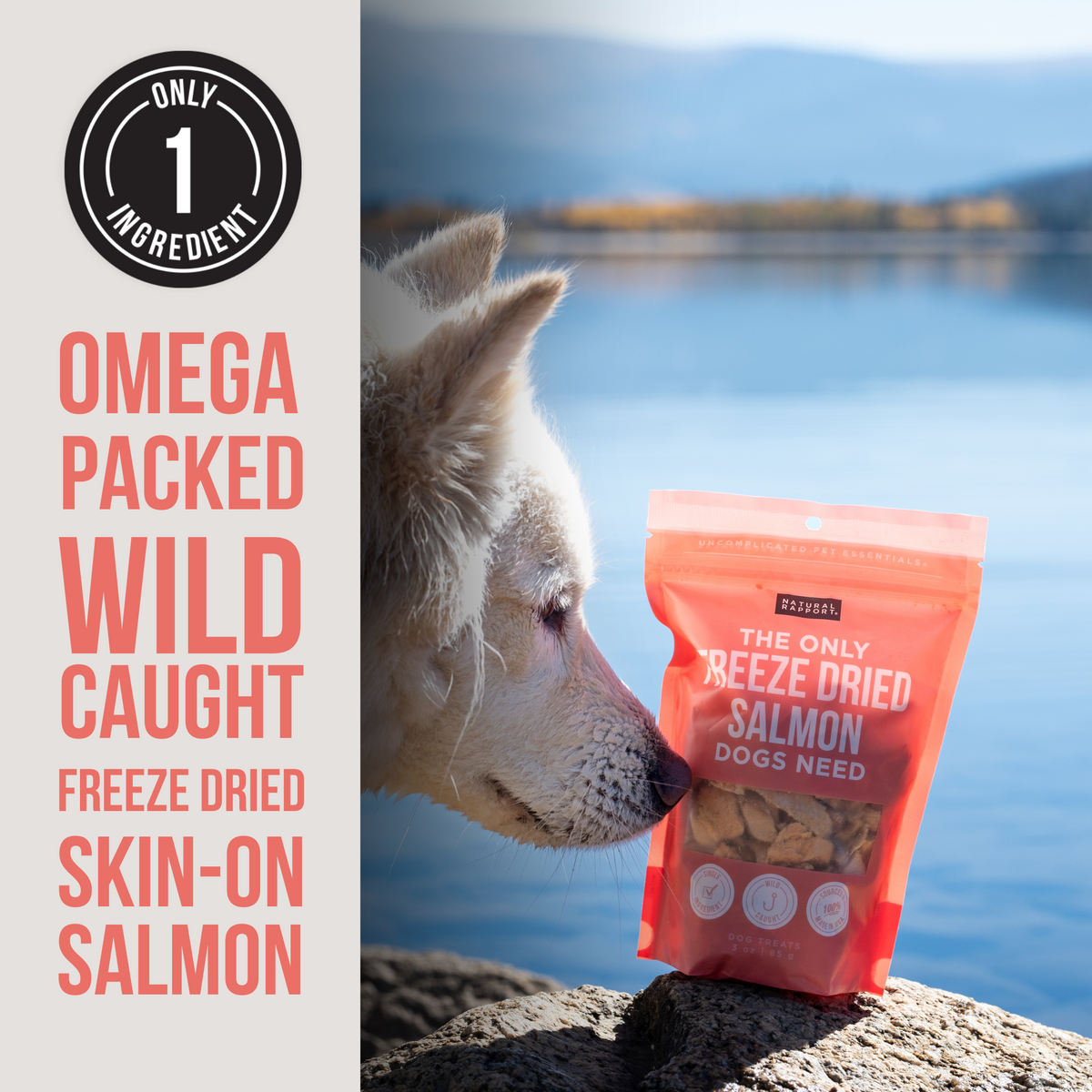 Is freeze dried salmon safe for dogs shop