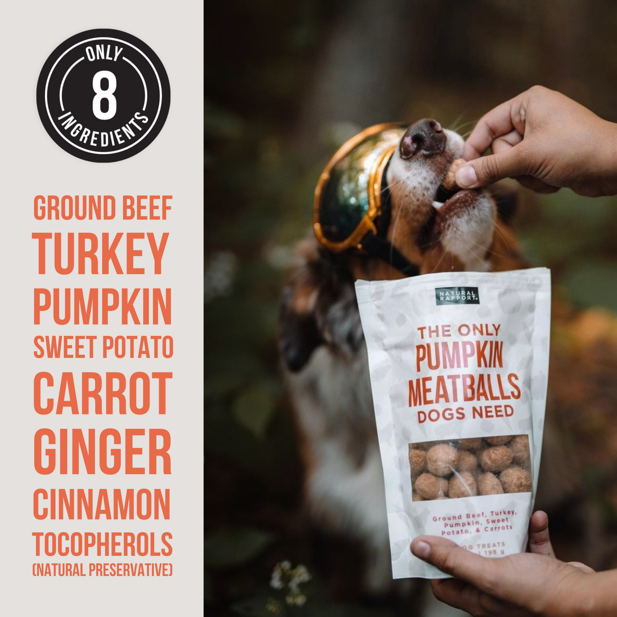 Natural pumpkin for dogs outlet