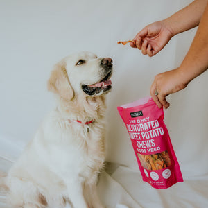 Donate a Bag to Ozzie Albies Foundation