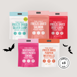 The Only Trick or Treat Bundle Dogs Need