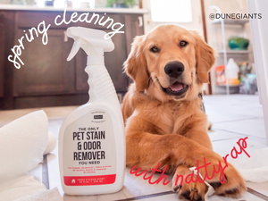 Unleash the Clean: Spring Cleaning with Your Dog