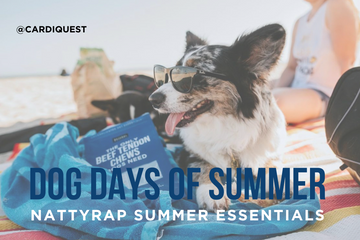 Dog Days of Summer: 5 NattyRap Summer Essentials