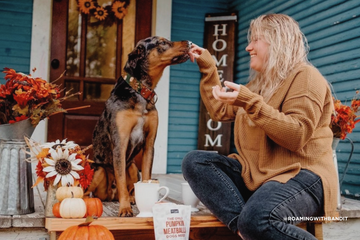 Fall Activities to Enjoy with Your Dog