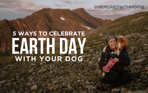 5 Ways to Celebrate Earth Day With Your Dog