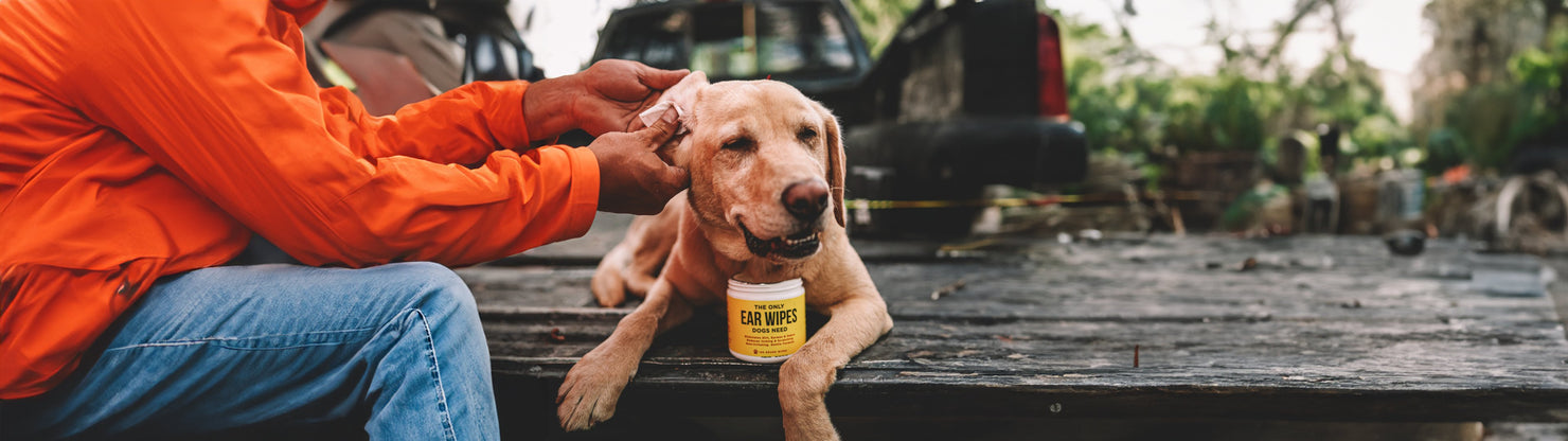 PLANT POWERED GROOMING