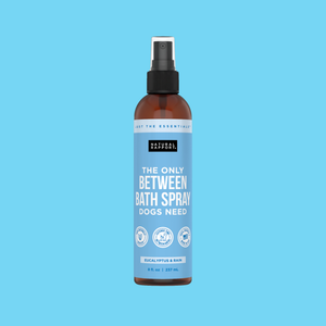 The Only Between Bath Spray Dogs Need - Eucalyptus & Rain