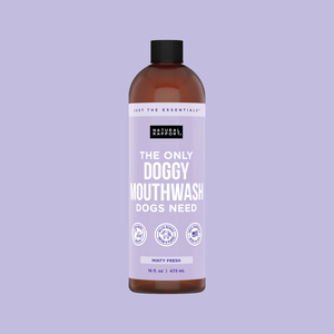 The Only Doggy Mouthwash Dogs Need