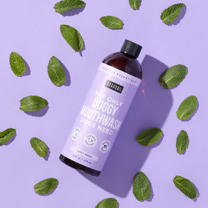 The Only Doggy Mouthwash Dogs Need