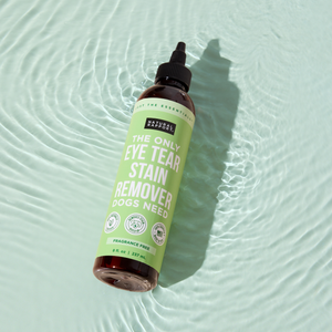 The Only Eye Tear Stain Remover Dogs Need
