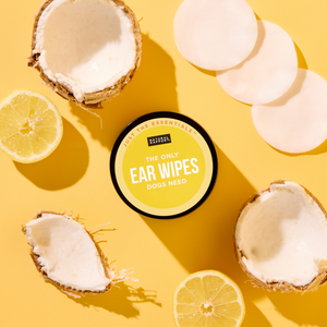 The Only Ear Wipes Dogs Need