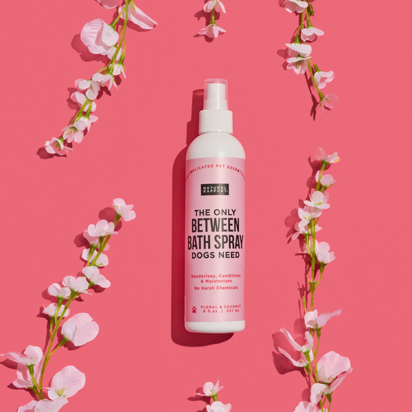 The Only Between Bath Spray Dogs Need - Floral & Coconut