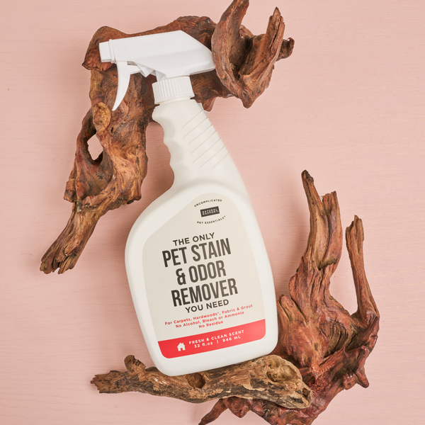 The Only Pet Stain & Odor Remover You Need