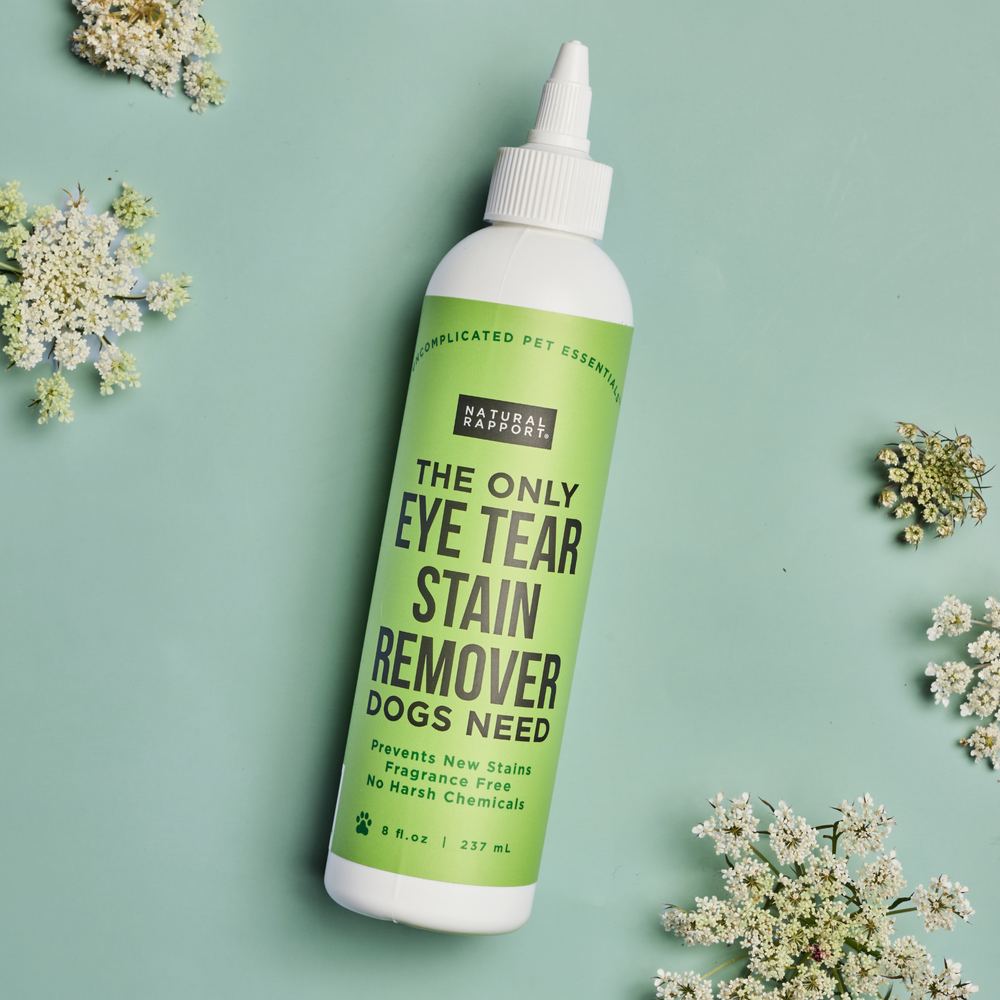 The Only Eye Tear Stain Remover Dogs Need