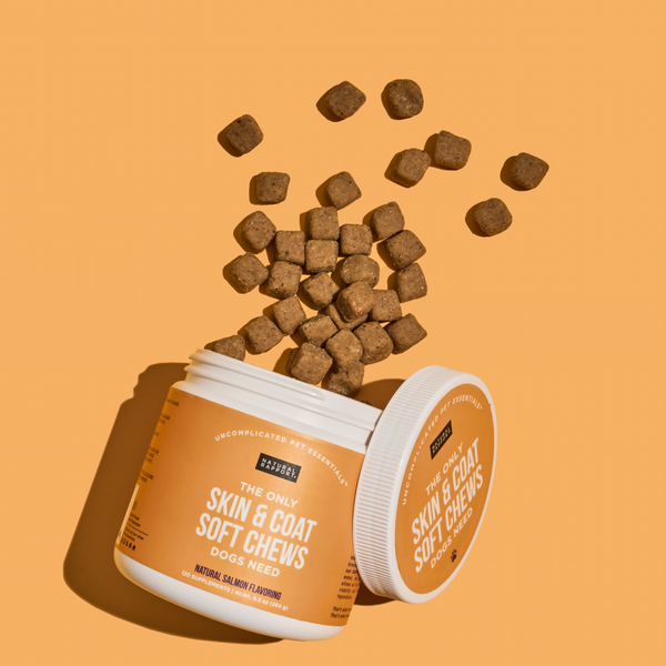 The Only Skin & Coat Soft Chews Dogs Need