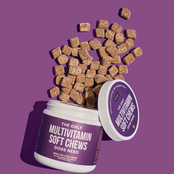 The Only Multivitamin Soft Chews Dogs Need