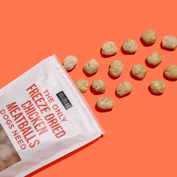 The Only Freeze Dried Chicken Meatballs Dogs Need