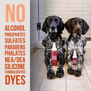 The Only Between Bath Spray Dogs Need - Cinnamon & Clove