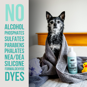 The Only Dog Shampoo Dogs Need