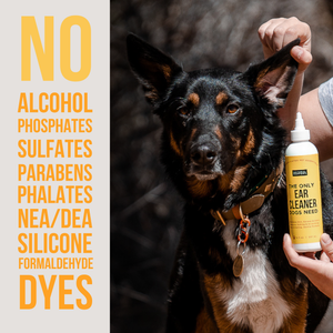 The Only Ear Cleaner Dogs Need