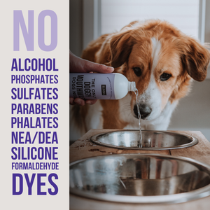 The Only Doggy Mouthwash Dogs Need