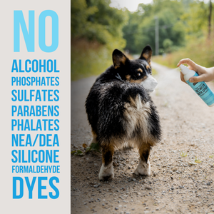 The Only Between Bath Spray Dogs Need - Eucalyptus & Rain
