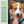 The Only Eye Tear Stain Remover Dogs Need