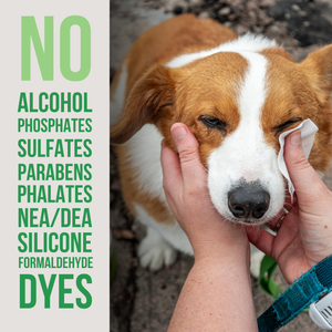 The Only Eye Tear Stain Remover Dogs Need