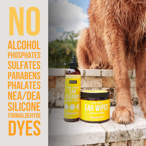 The Only Ear Wipes Dogs Need