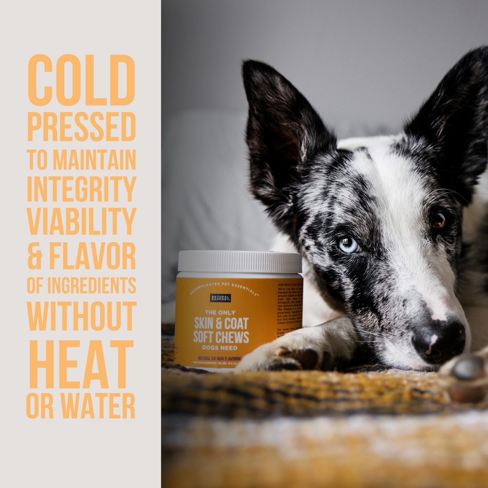 The Only Skin & Coat Soft Chews Dogs Need