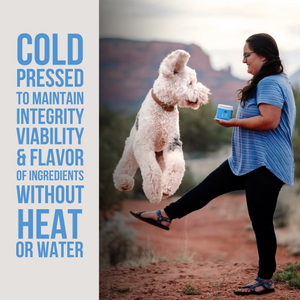 The Only Hip & Joint Soft Chews Dogs Need