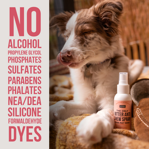 The Only Bitter Anti Chew Spray Dogs May Need