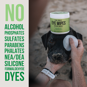 The Only Eye Wipes Dogs Need