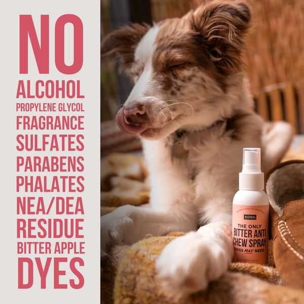 My dog likes bitter apple spray best sale