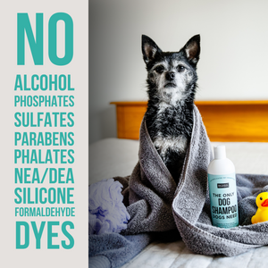 The Only Dog Shampoo Dogs Need