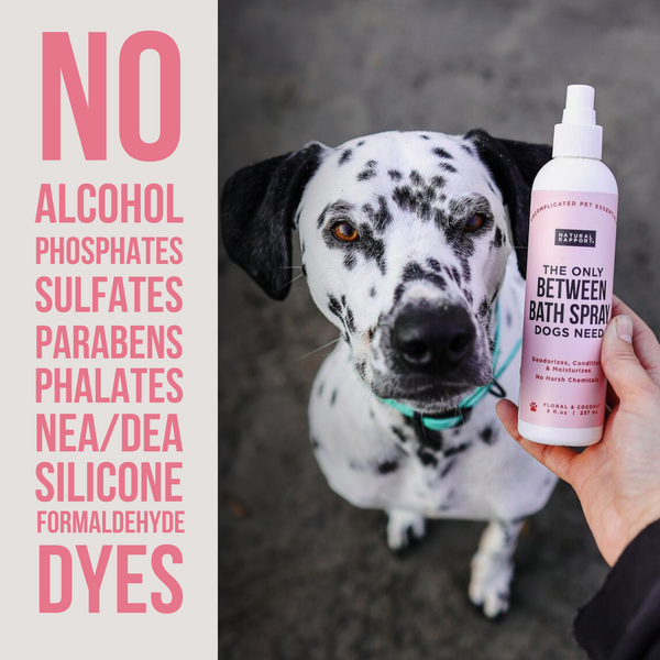 The Only Between Bath Spray Dogs Need - Floral & Coconut