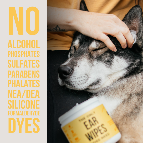 The Only Ear Wipes Dogs Need