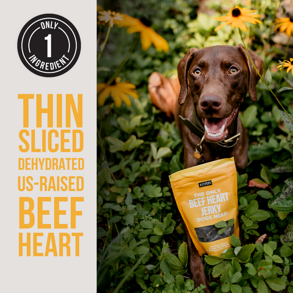 The Only Dehydrated Beef Heart Jerky Dogs Need - Wholesale