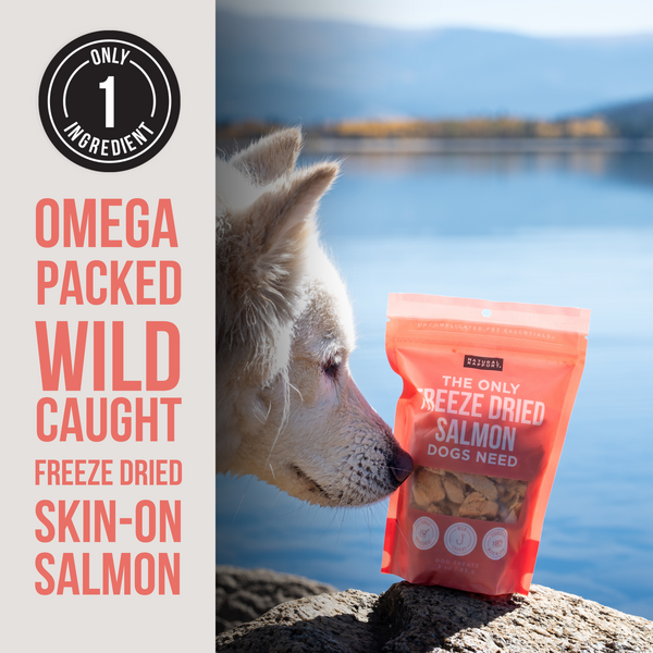 The Only Freeze Dried Salmon Dogs Need