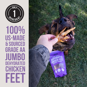 The Only Dehydrated Chicken Feet Dogs Need