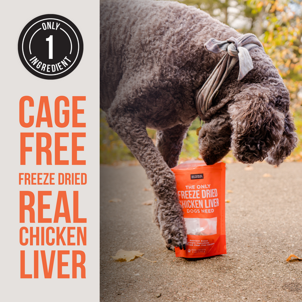 The Only Freeze Dried Chicken Liver Dogs Need