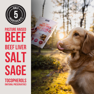 The Only Freeze Dried Beef Meatballs Dogs Need - BULK