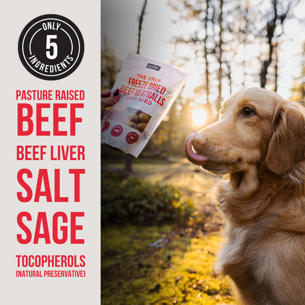 The Only Freeze Dried Beef Meatballs Dogs Need - Wholesale