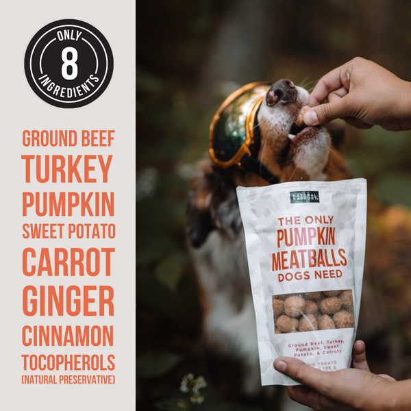 The Only Freeze Dried Pumpkin Meatballs Dogs Need - Wholesale