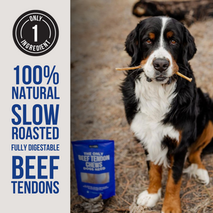 The Only Beef Tendon Chews Dogs Need