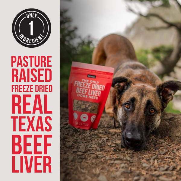 The Only Freeze Dried Beef Liver Dogs Need